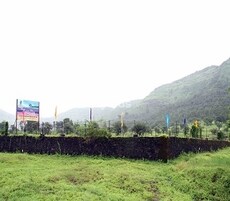 FDCC Angellia Featured Image