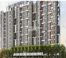 Gaikwad Miro Featured Image