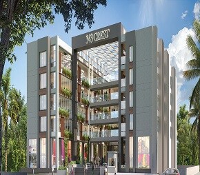 Gera 343 Crest Video