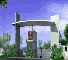 Golden Acres Featured Image