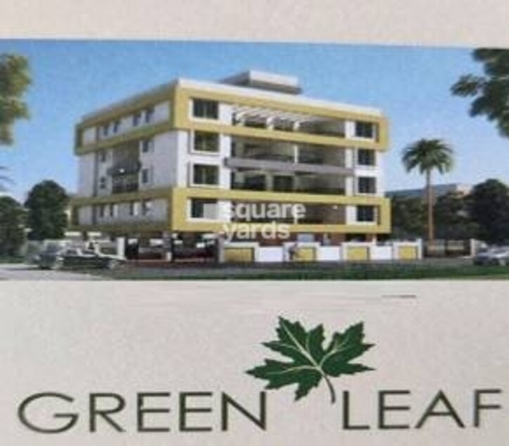 Green Leaf Cover Image