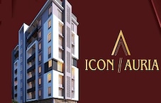 Icon Auria Featured Image