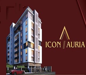Icon Auria