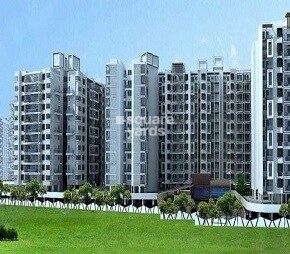 Jhamtani Ace Amazon, Moshi, Pune