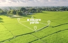 K Raheja Green Rossette Viva Featured Image