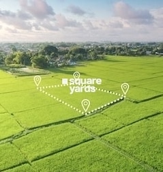 K Raheja Green Rossette Viva K Raheja Green Rossette Viva