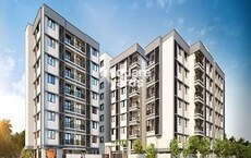 Kale Sparkle Residence Featured Image