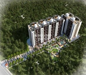 KFP Kalash