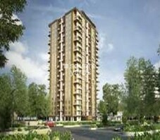 Kohinoor Falcon Featured Image