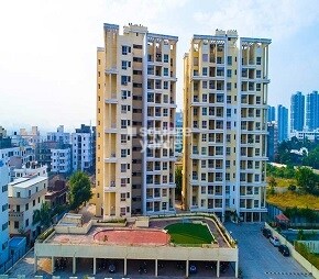 Kolte Patil Green Olive