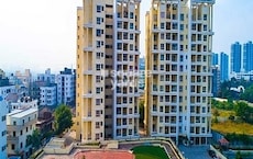 Kolte Patil Green Olive Featured Image