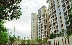 Kolte Patil Green Olive Tower C And D Featured Image
