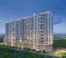 Koral Aeternaa Featured Image