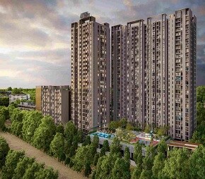 Krisala 41 Luxovert