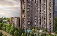 Krisala 41 Luxovert Featured Image
