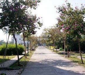 Kumar Meadows Plots