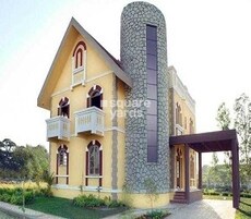 Kumar Meadows Featured Image