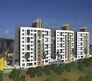 Kumar Papillon Flagship Image