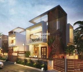 Lakhani Panache