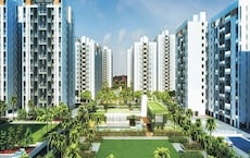 Little Earth Masulkar City Featured Image