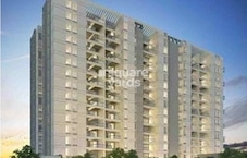 Lohia Unika Featured Image