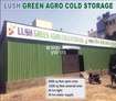 Lush Green Agro Cover Image