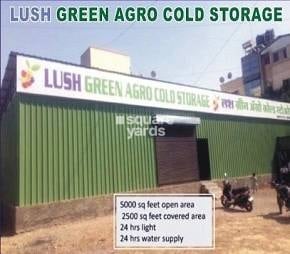 Lush Green Agro