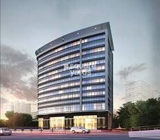 M Triumph Featured Image