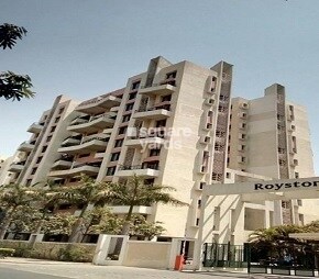 Magarpatta City Roystonea