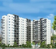 Maple Aapla Ghar Lonikand Featured Image