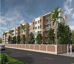 Maple Aapla Ghar Shikrapur
