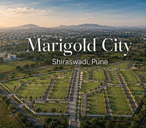 Marigold City, Shiraswadi, Pune