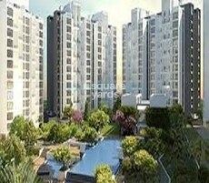 Marvel Fria Featured Image