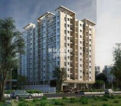 Media Leaf, Ambegaon Budruk, Pune