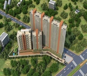 Mohol Grace Land