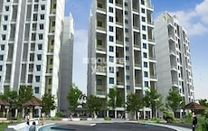 Mout Vert Vesta Featured Image