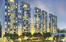 Mulik Luxuria B Wing Featured Image