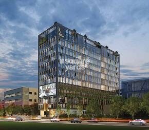 Naman Kushal Wallstreet