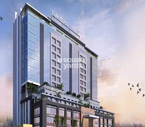 Nandan Probiz