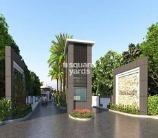 Northstar Ohana County Featured Image