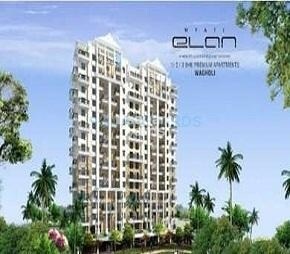 Nyati Elan