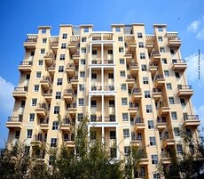 Nyati Erica Featured Image