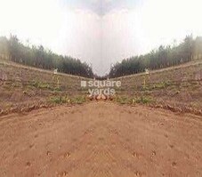 Nyati Highland Eastern Foundation Featured Image