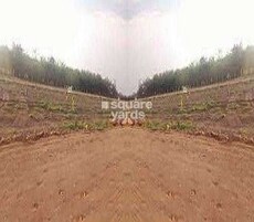 Nyati Highland Eastern Foundation Featured Image