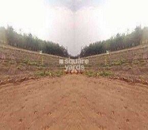 Nyati Highland Eastern Foundation