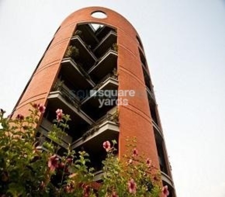 Orange Blossom Special Cover Image