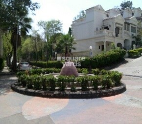 Palace Orchard CHS
