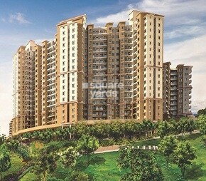 Paranjape Forest Trails Highland Tower 9 10 and 11
