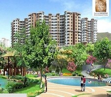 Paranjape Forest Trails The Highlands Featured Image