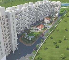 Parmar Rio Vista